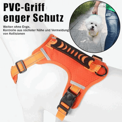 No Pull Dog Harness for Small Dogs and Larger Breeds | Mesh Chest Panel with a Back Handle | Five Sizes, XS to XL