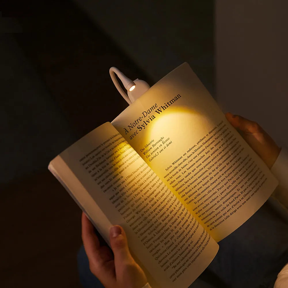 Clip On Night Light for Reading in Bed or at Camp, with a 360 Degree Neck | Dimmable LED, USB Rechargeable | Black or White