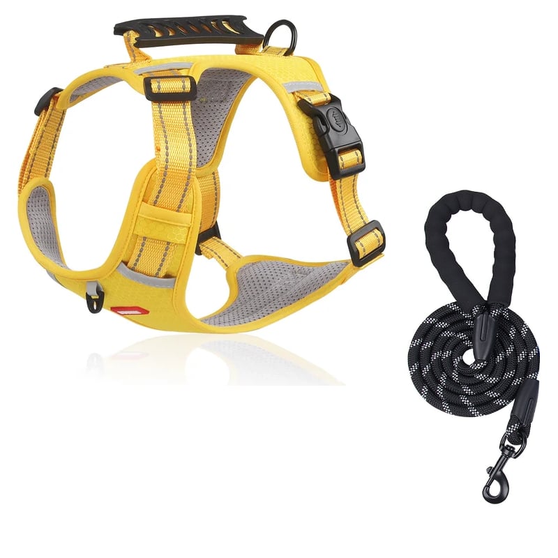 No Pull Dog Harness for Small Dogs and Larger Breeds | Mesh Chest Panel with a Back Handle | Five Sizes, XS to XL