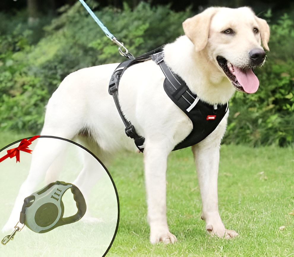No Pull Dog Harness in Breathable Oxford with Safety Buckle | Reflective Strips and Grab Handle | Sizes XS to XL