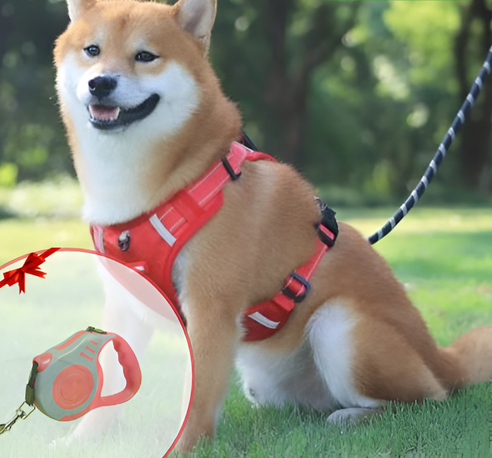 No Pull Dog Harness in Breathable Oxford with Safety Buckle | Reflective Strips and Grab Handle | Sizes XS to XL