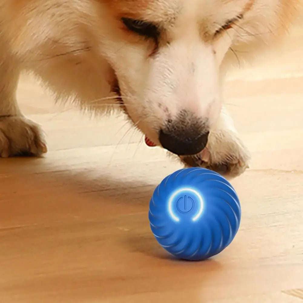 Self-Rolling Interactive Dog Toys Ball with Rechargeable Battery | ABS and Silicone Build | 2 Colors