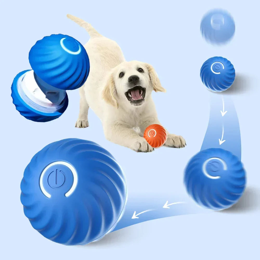 Self-Rolling Interactive Dog Toys Ball with Rechargeable Battery | ABS and Silicone Build | 2 Colors