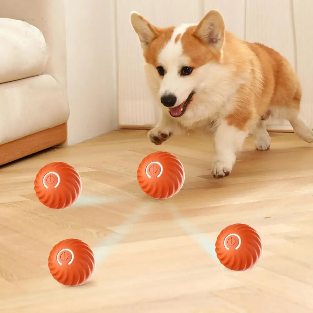 Self-Rolling Interactive Dog Toys Ball with Rechargeable Battery | ABS and Silicone Build | 2 Colors