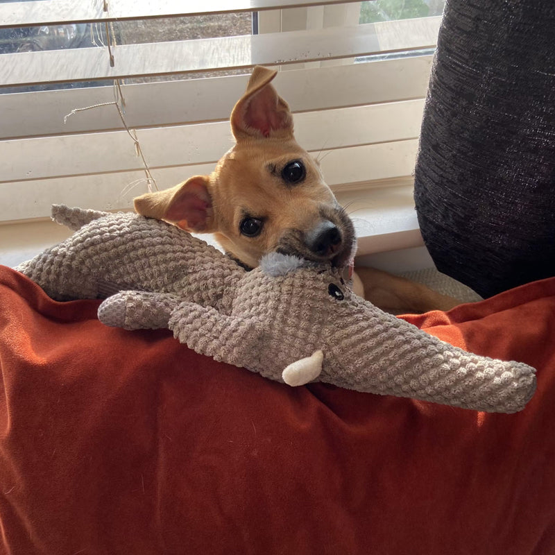 Plush Dog Chew Toys in Three Animal Shapes | Soft Fabric Build for Everyday Play | Wolf, Lion and Elephant