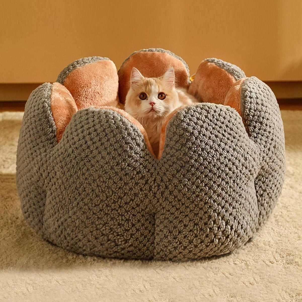 Flower Shaped Cat Bed with Padded Petal Walls | Soft Plush Lining for Kittens and Small Dogs | 3 Sizes | 4 Colors