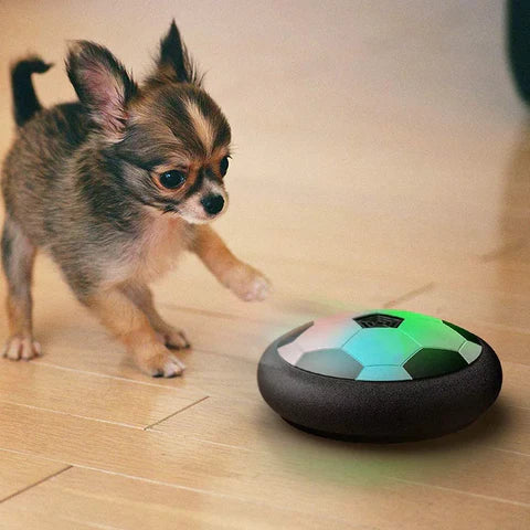 Hover Soccer Disc Dog Toys with Foam Bumper and Color Lights | Glides on Smooth Floors | Indoor Play