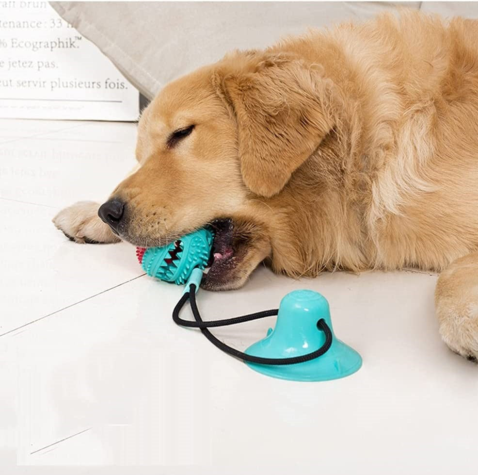 Rubber Dog Chew Toys with Ridged Surface and Rope Pull | Treat Opening in the Center, 17 x 2.5 in | 4 Colors