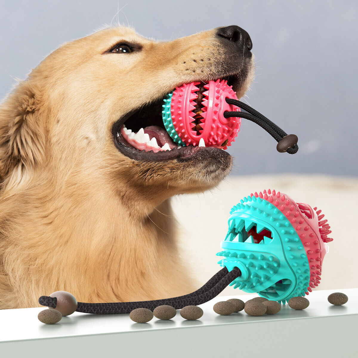 Rubber Dog Chew Toys with Ridged Surface and Rope Pull | Treat Opening in the Center, 17 x 2.5 in | 4 Colors