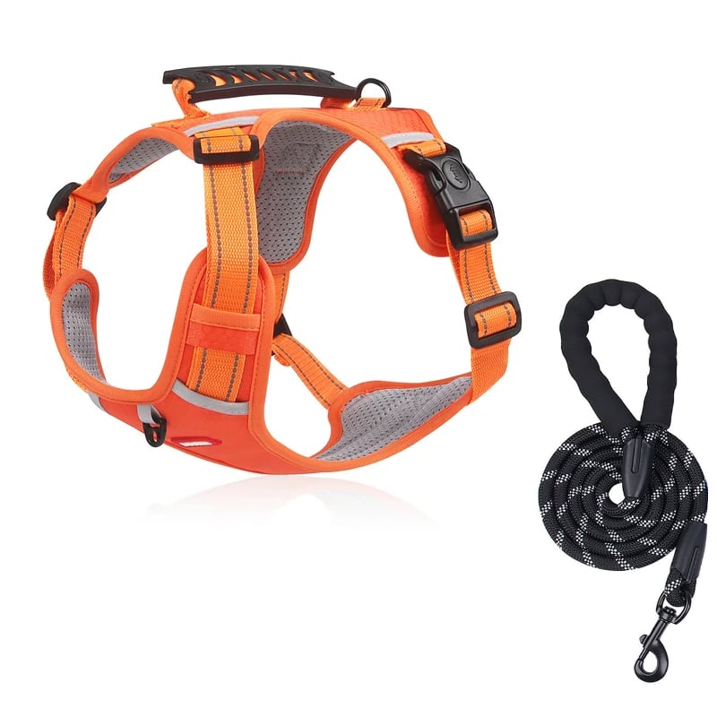 No Pull Dog Harness for Small Dogs and Larger Breeds | Mesh Chest Panel with a Back Handle | Five Sizes, XS to XL