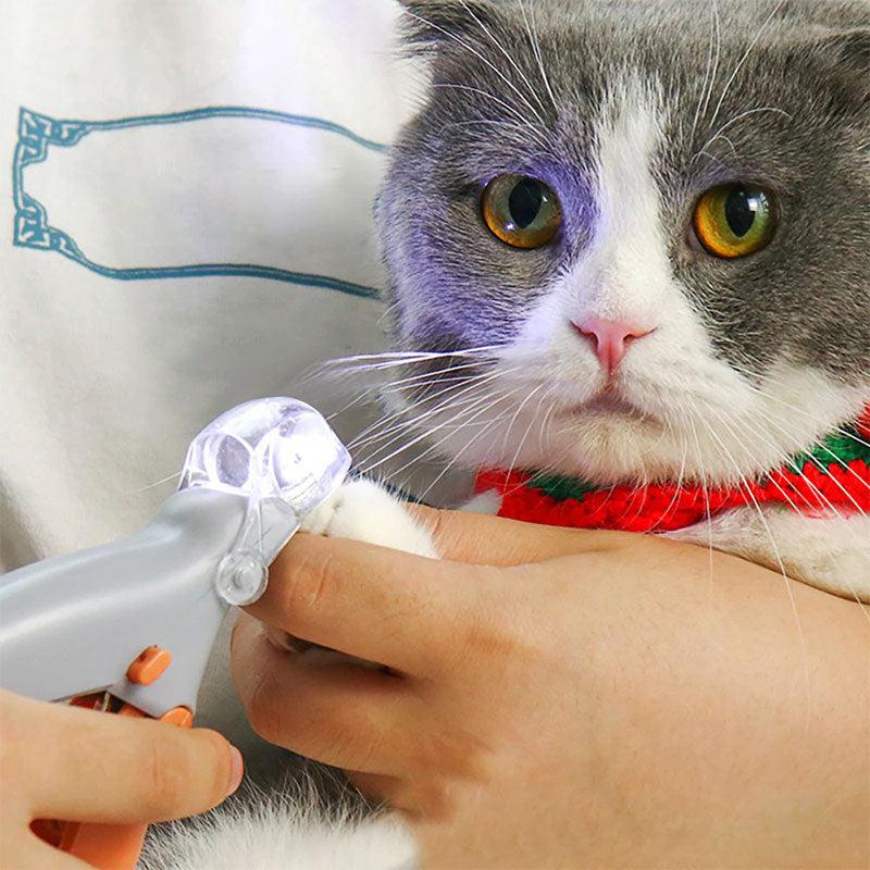 Dog Nail Cutter with LED Light and a Clear Magnifying Cap | Shows the Quick So You Do Not Cut Too Short | Also for Cats and Small Pets