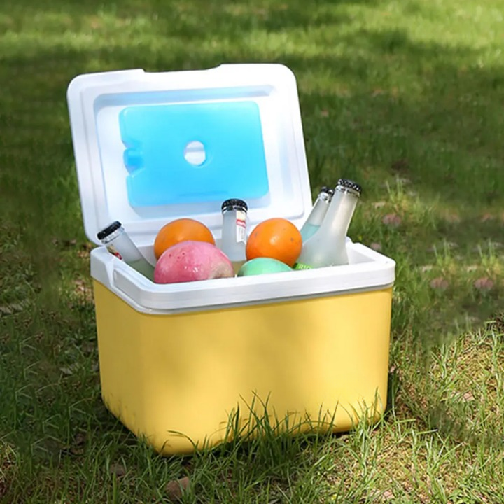 Portable Cooler Box with Multi-Layer Insulation | 1.6 Gallon Capacity | Compact Design for Camping and Picnics