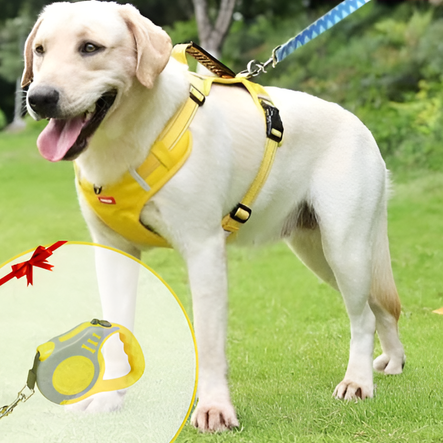 No Pull Dog Harness in Breathable Oxford with Safety Buckle | Reflective Strips and Grab Handle | Sizes XS to XL