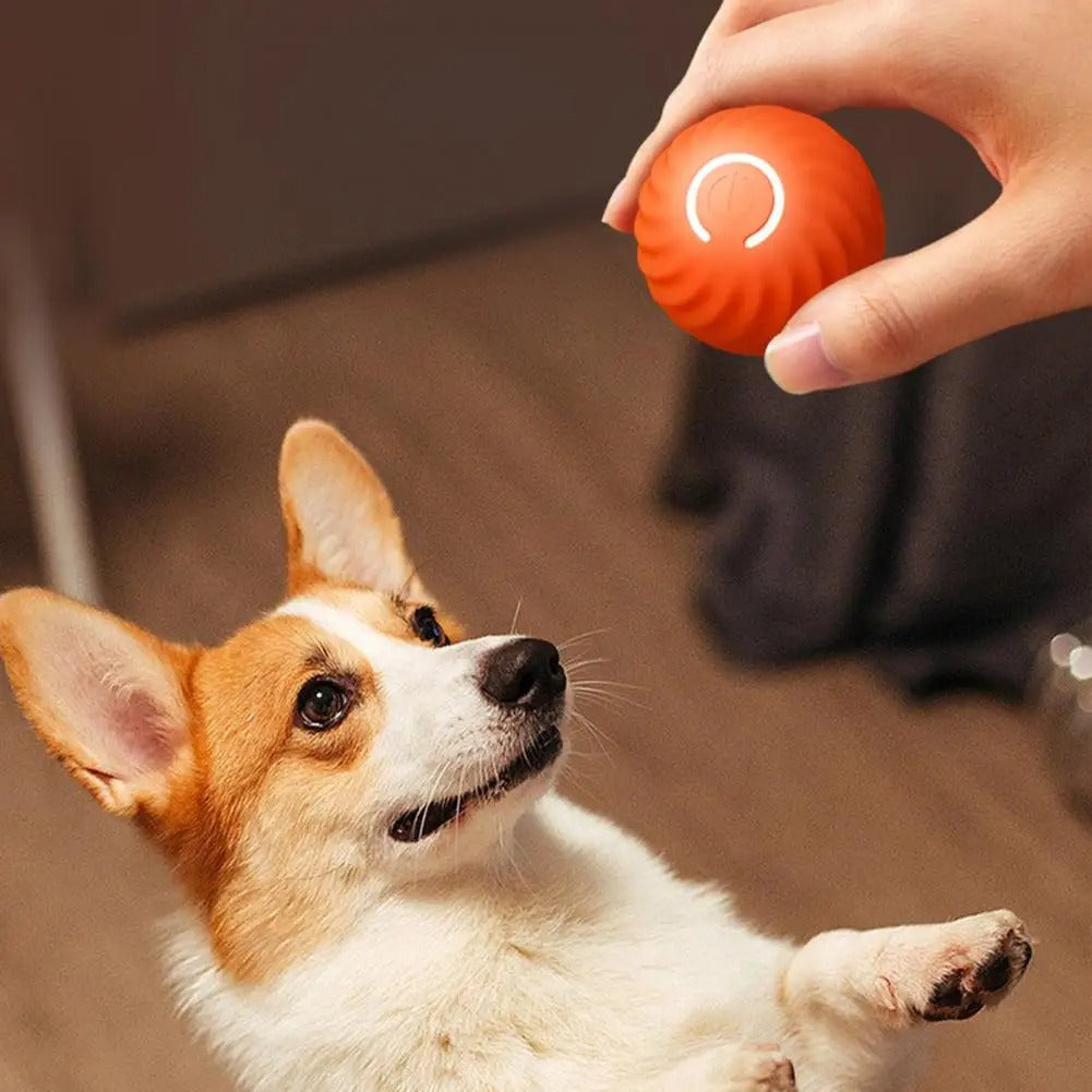 Self-Rolling Interactive Dog Toys Ball with Rechargeable Battery | ABS and Silicone Build | 2 Colors