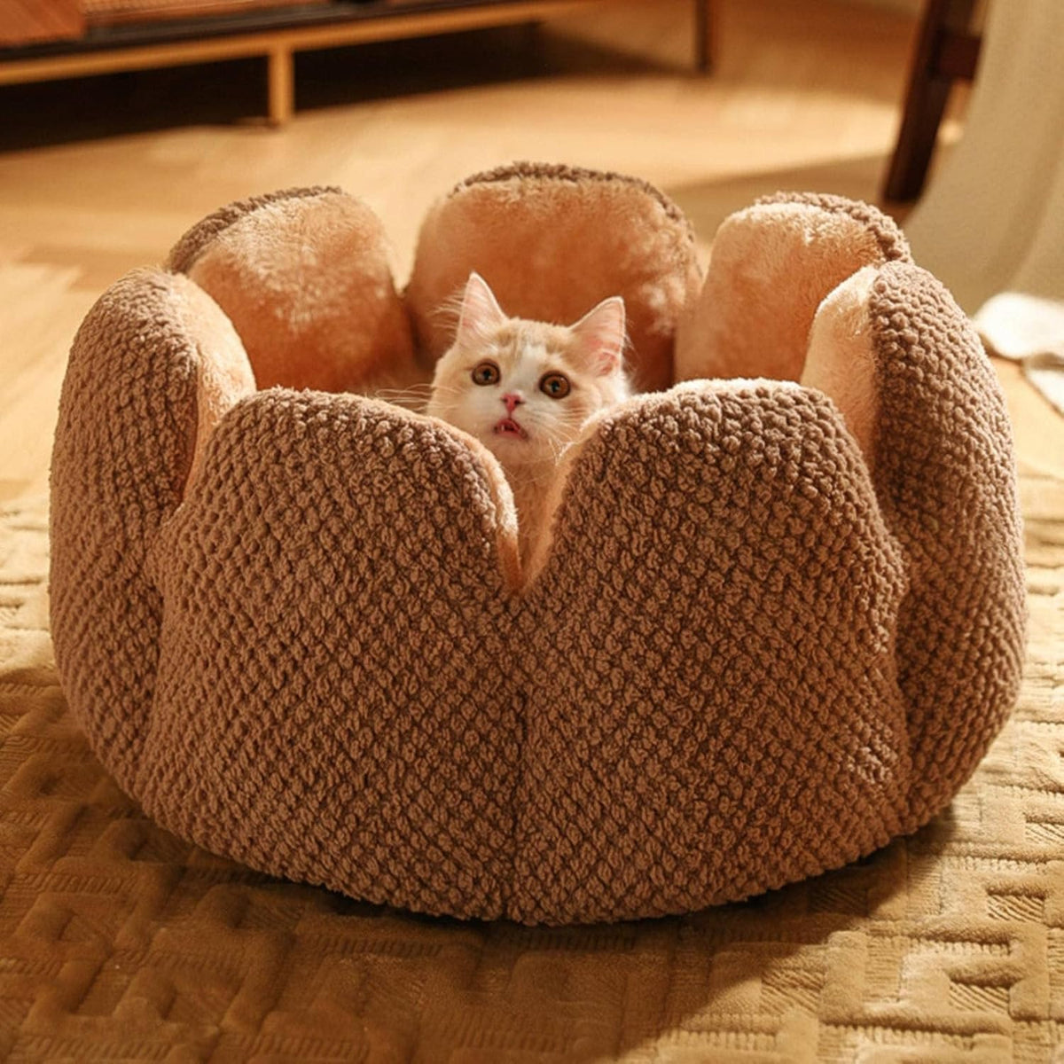 Flower Shaped Cat Bed with Padded Petal Walls | Soft Plush Lining for Kittens and Small Dogs | 3 Sizes | 4 Colors