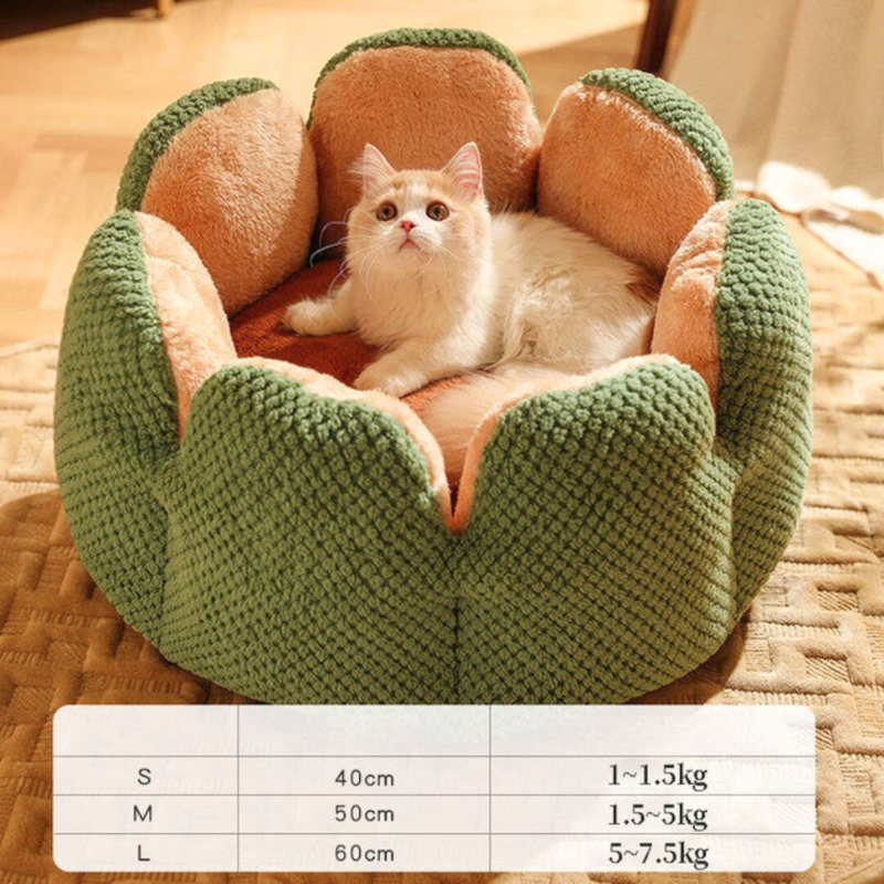 Flower Shaped Cat Bed with Padded Petal Walls | Soft Plush Lining for Kittens and Small Dogs | 3 Sizes | 4 Colors