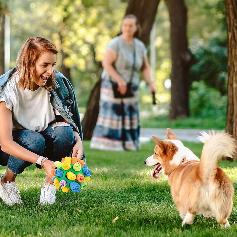 Dog Enrichment Toys for Sniff Training | Fleece Snuffle Ball that Hides Treats | 8 x 8 in | 2 Colors