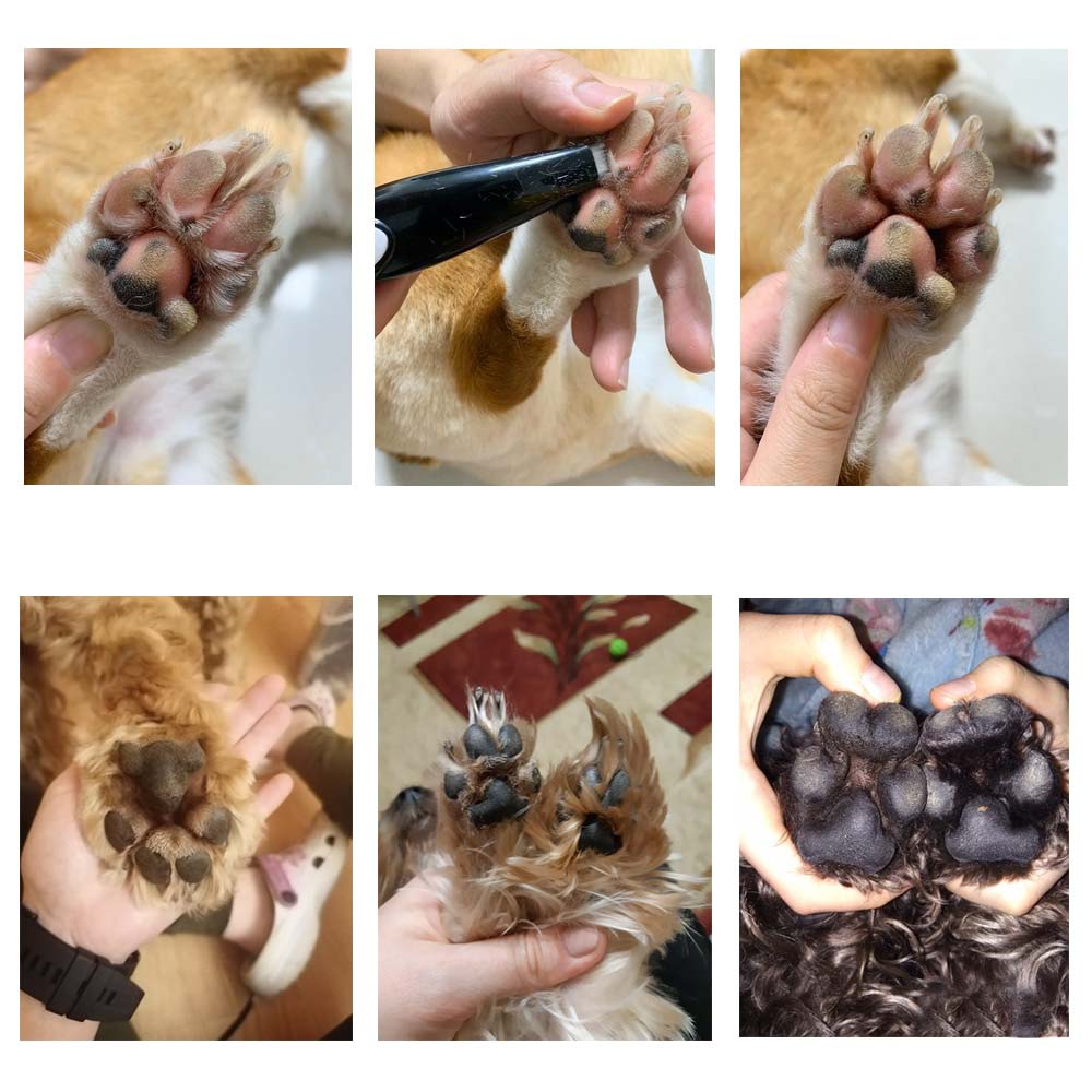 Cordless Precision Trimmer for Dogs and Cats | Narrow Blade for Paws, Ears and Eye Corners | USB Rechargeable